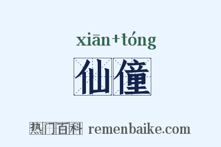 仙僮是什么意思的图片